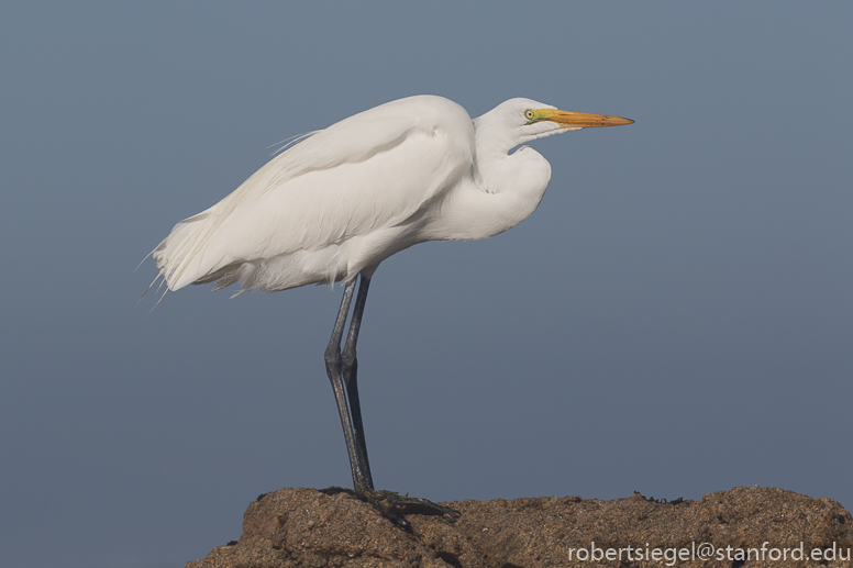 asilomar